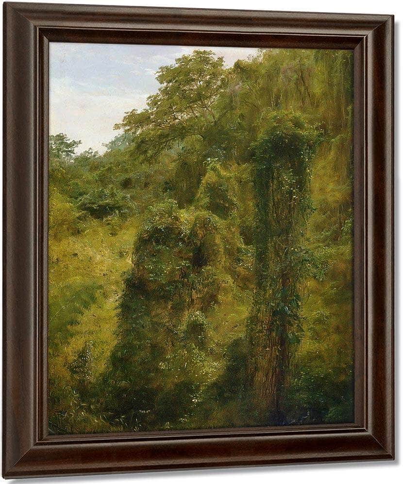 Tropical Vines And Trees Jamaica By Frederic Edwin Church Fine Art Print