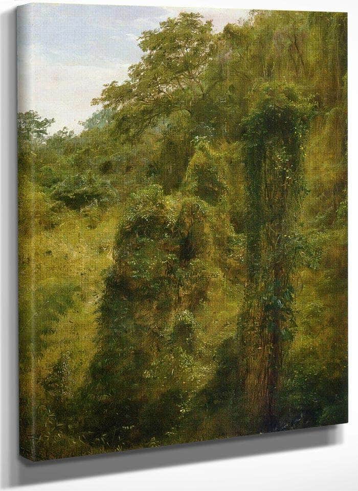 Tropical Vines And Trees Jamaica By Frederic Edwin Church Fine Art Print