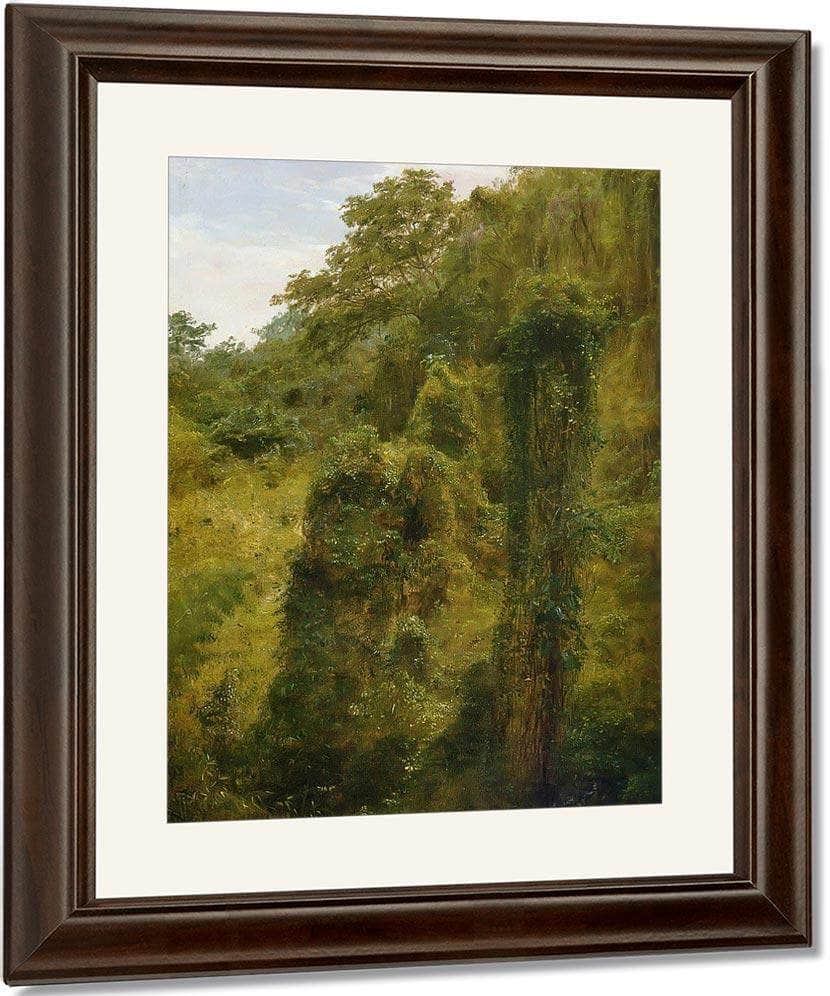Tropical Vines And Trees Jamaica By Frederic Edwin Church Fine Art Print