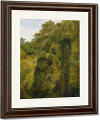 Tropical Vines And Trees Jamaica By Frederic Edwin Church Fine Art Print
