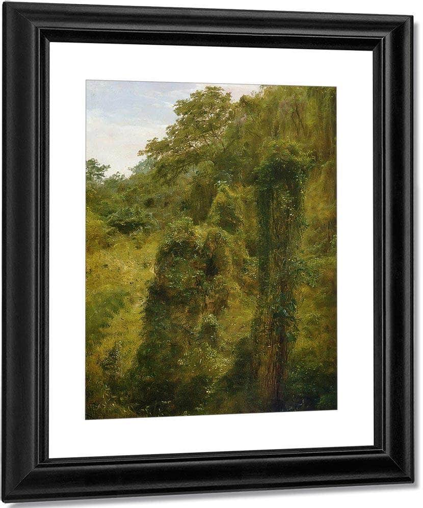 Tropical Vines And Trees Jamaica By Frederic Edwin Church Fine Art Print
