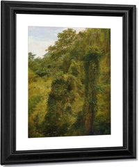 Tropical Vines And Trees Jamaica By Frederic Edwin Church Fine Art Print