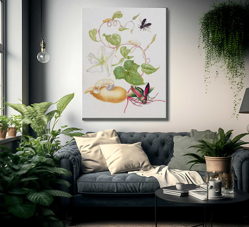 Tropical White Morning Glory With Two Beetles 1703 By Maria Sibylla Merian Fine Art Print