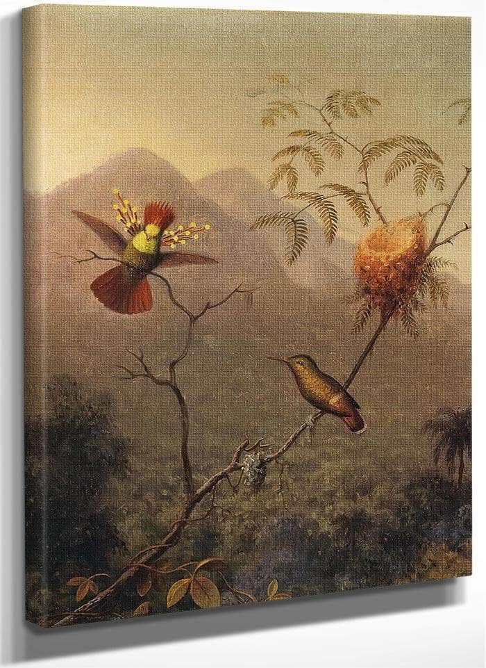 Tufted Coquette By Martin Johnson Heade Fine Art Print