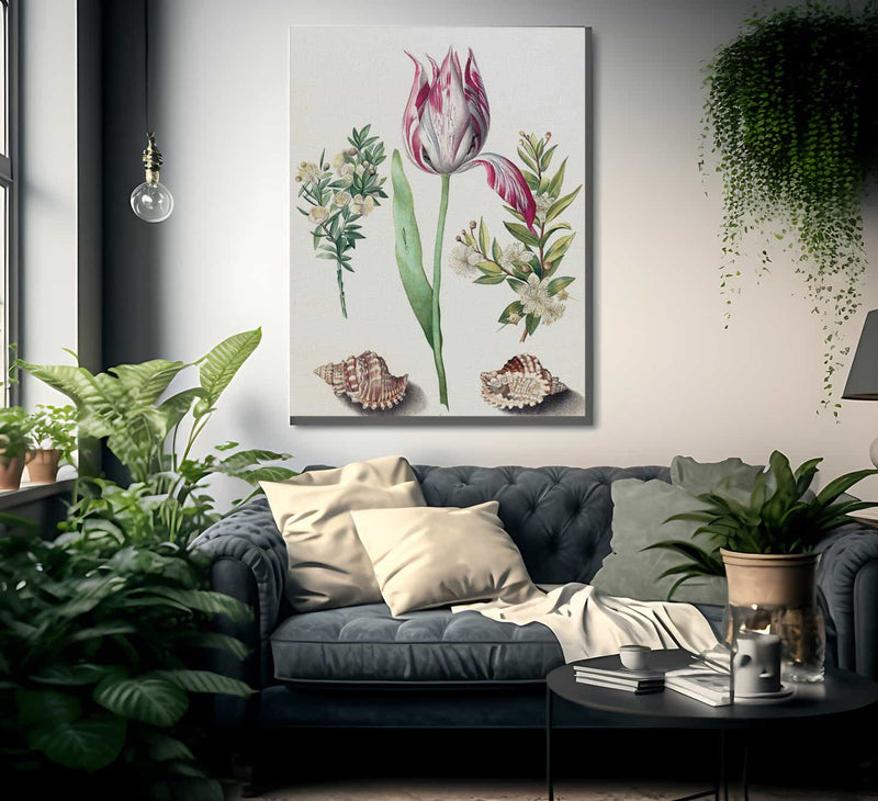 Tulip Two Branches Of Myrtle And Two Shells 1700 By Maria Sibylla Merian Fine Art Print