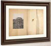 Two Antelopes, Study Folder For Book Concealing Coloration In The Animal Kingdom By Abbott Handerson Thayer Fine Art Print