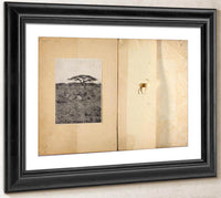 Two Antelopes, Study Folder For Book Concealing Coloration In The Animal Kingdom By Abbott Handerson Thayer Fine Art Print