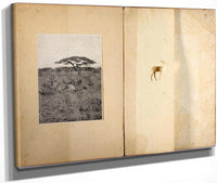 Two Antelopes, Study Folder For Book Concealing Coloration In The Animal Kingdom By Abbott Handerson Thayer Fine Art Print