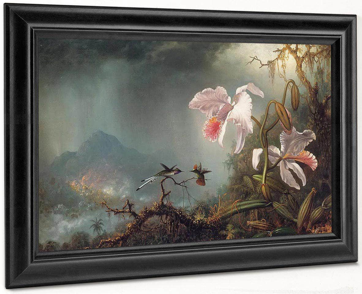 Two Fighting Hummingbirds With Two Orchids By Martin Johnson Heade Fine Art Print
