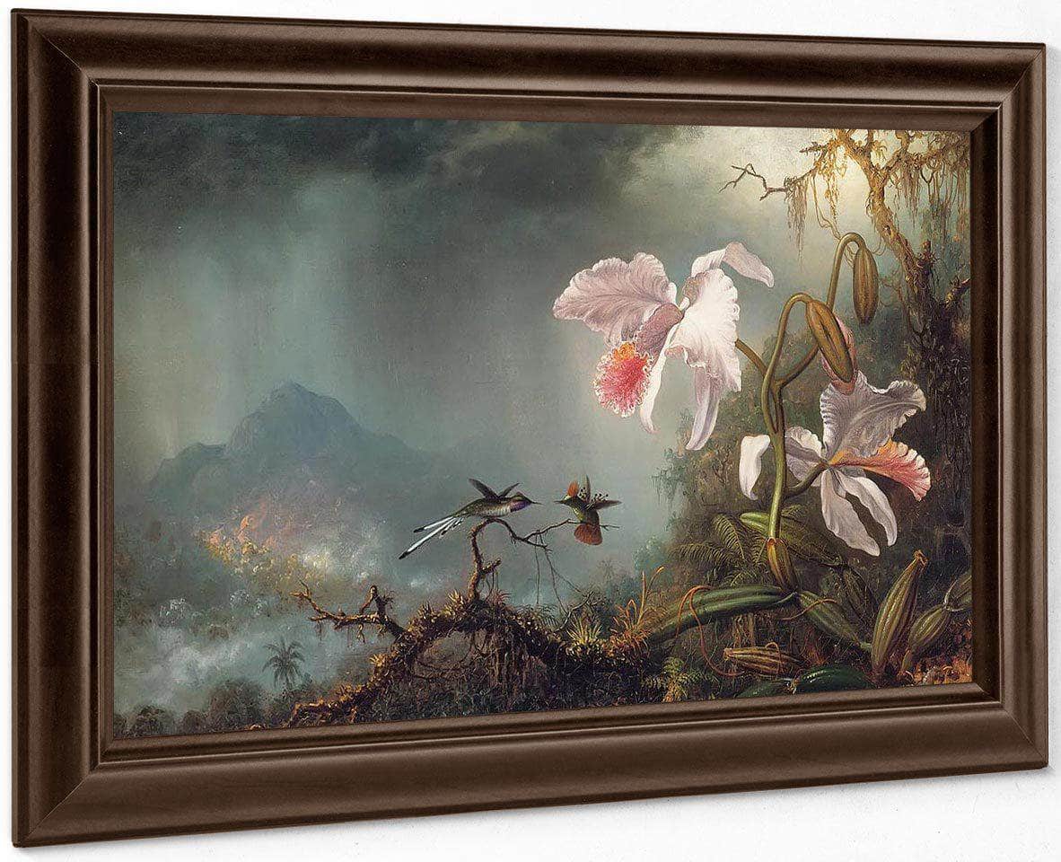 Two Fighting Hummingbirds With Two Orchids By Martin Johnson Heade Fine Art Print