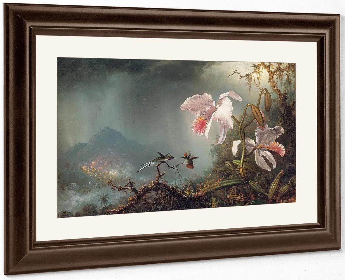 Two Fighting Hummingbirds With Two Orchids By Martin Johnson Heade Fine Art Print