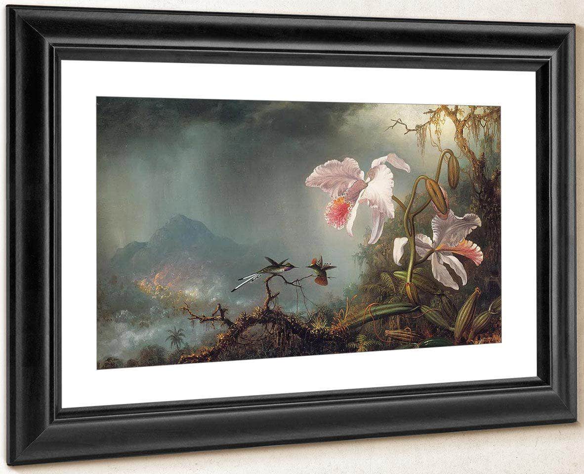 Two Fighting Hummingbirds With Two Orchids By Martin Johnson Heade Fine Art Print