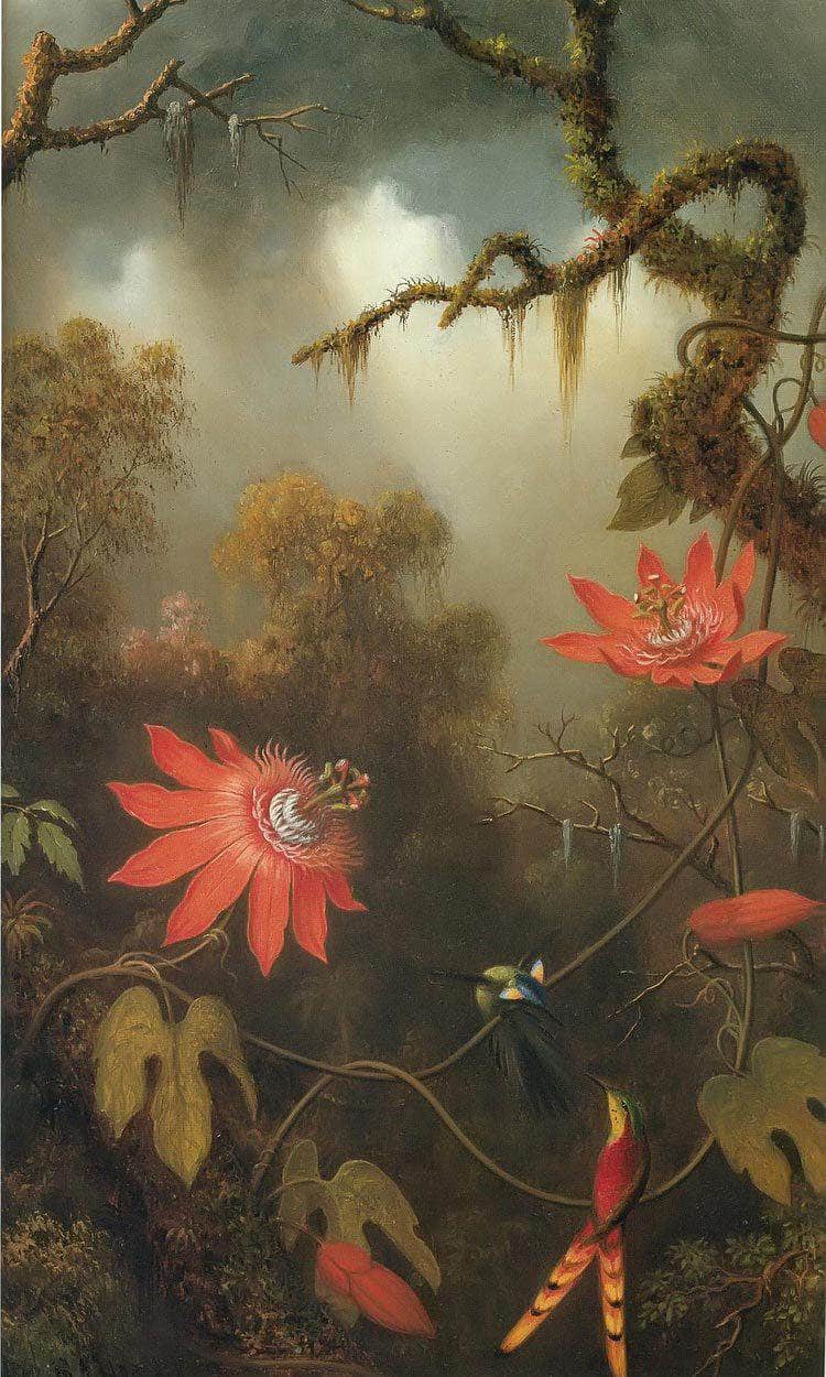 Two Hummingbirds Perched On Passion Flower Vines By Martin Johnson Heade Fine Art Print