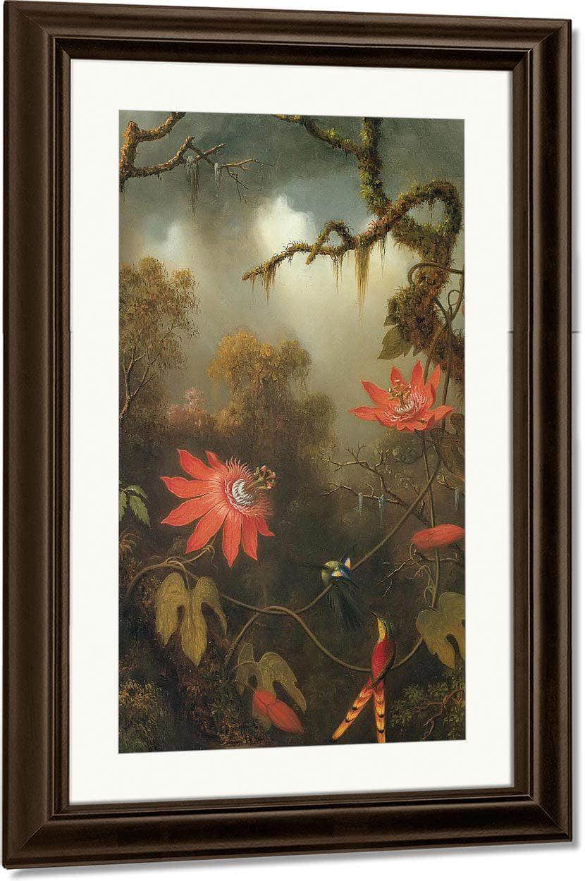 Two Hummingbirds Perched On Passion Flower Vines By Martin Johnson Heade Fine Art Print