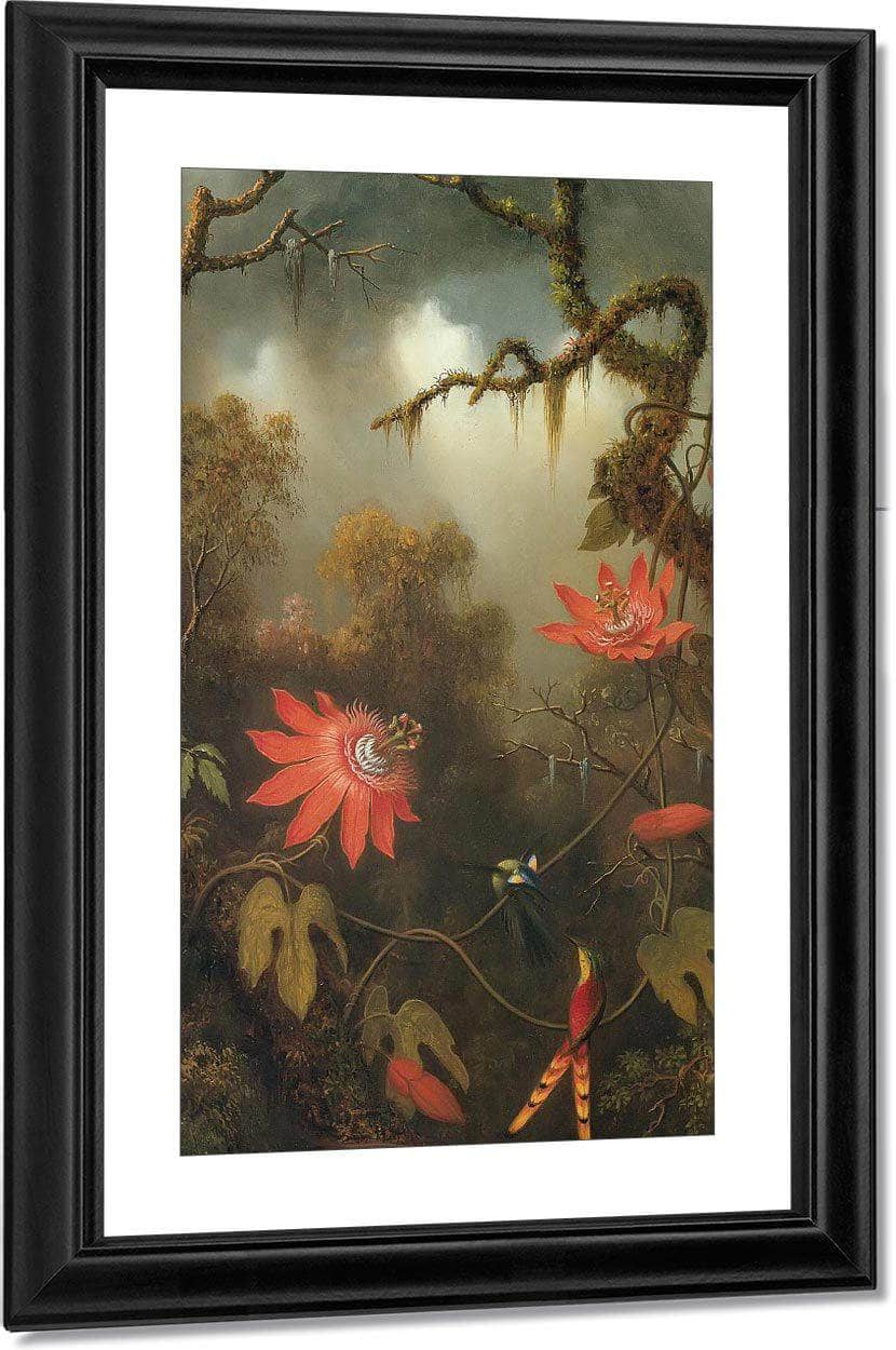 Two Hummingbirds Perched On Passion Flower Vines By Martin Johnson Heade Fine Art Print