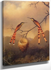 Two Hummingbirds With Their Young By Martin Johnson Heade Fine Art Print