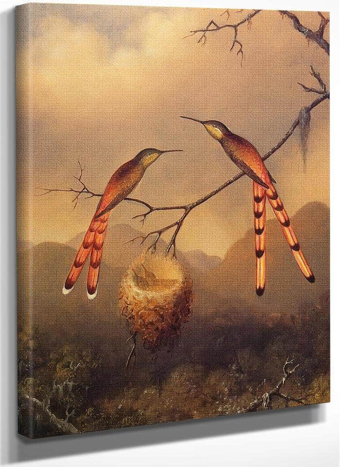 Two Hummingbirds With Their Young By Martin Johnson Heade Fine Art Print