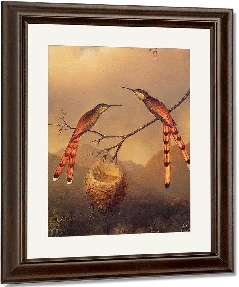 Two Hummingbirds With Their Young By Martin Johnson Heade Fine Art Print