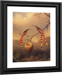 Two Hummingbirds With Their Young By Martin Johnson Heade Fine Art Print