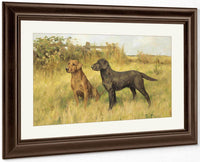 Two Labradors By Arthur Wardle Fine Art Print