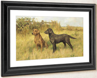 Two Labradors By Arthur Wardle Fine Art Print