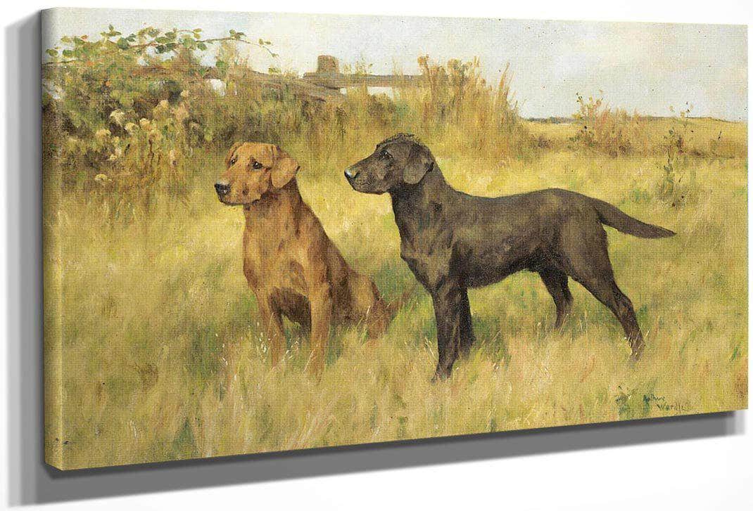 Two Labradors By Arthur Wardle Fine Art Print