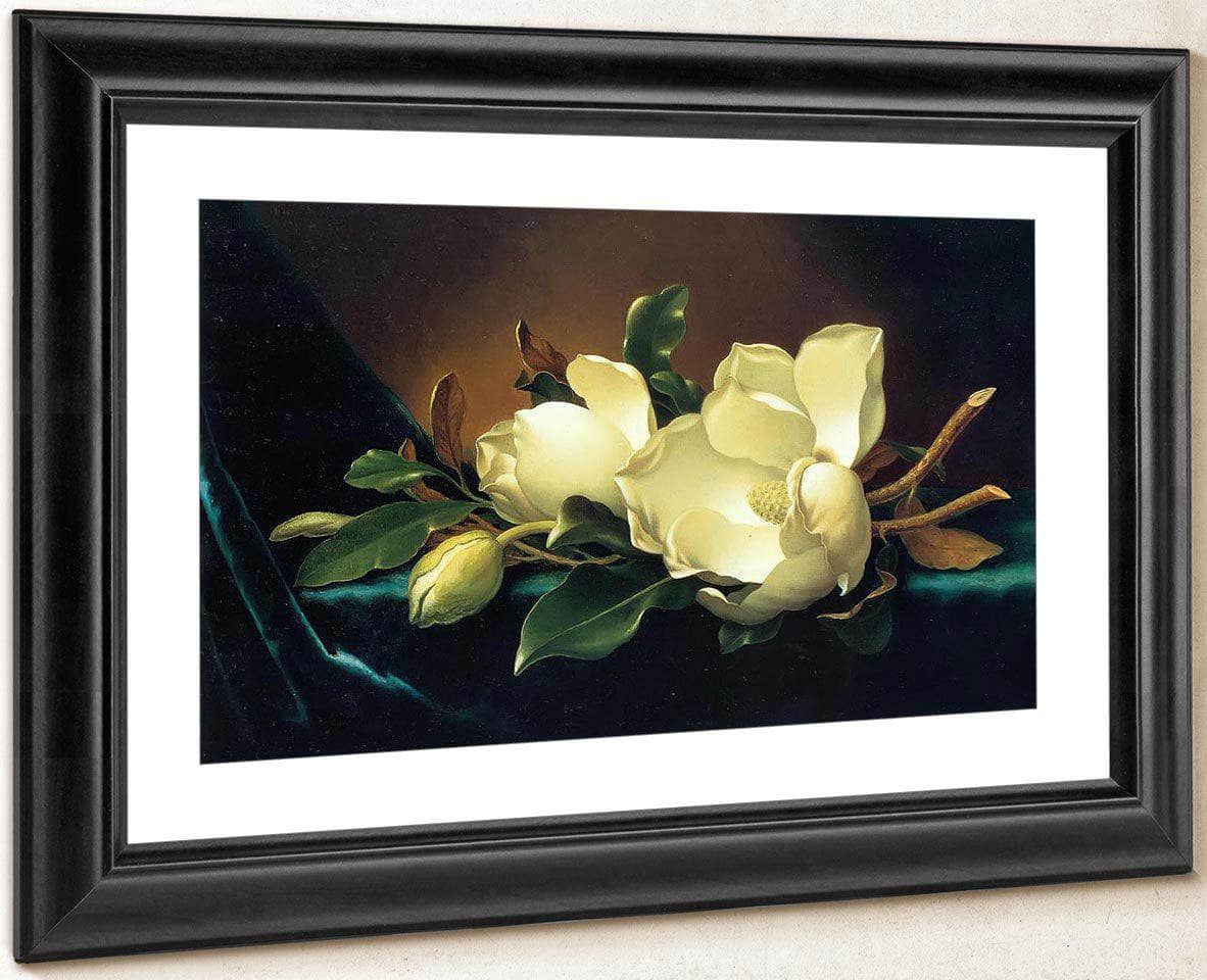 Two Magnolias And A Bud On Teal Velvet By Martin Johnson Heade Fine Art Print