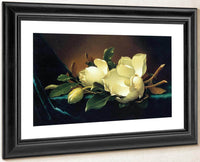 Two Magnolias And A Bud On Teal Velvet By Martin Johnson Heade Fine Art Print