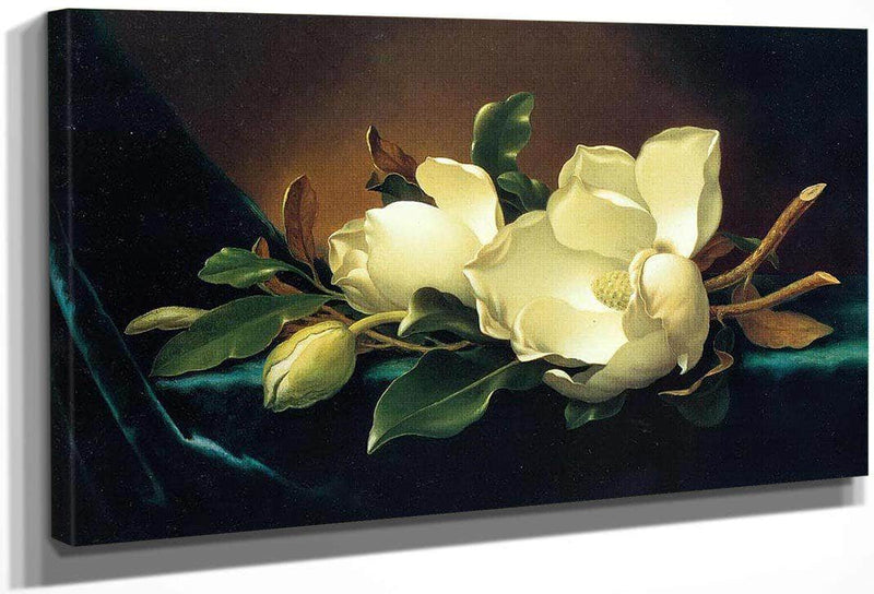 Two Magnolias And A Bud On Teal Velvet By Martin Johnson Heade Fine Art Print