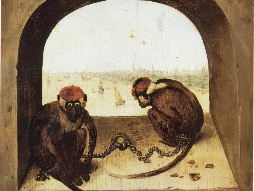 Two Monkeys 1562 By Pieter Bruegel Fine Art Print