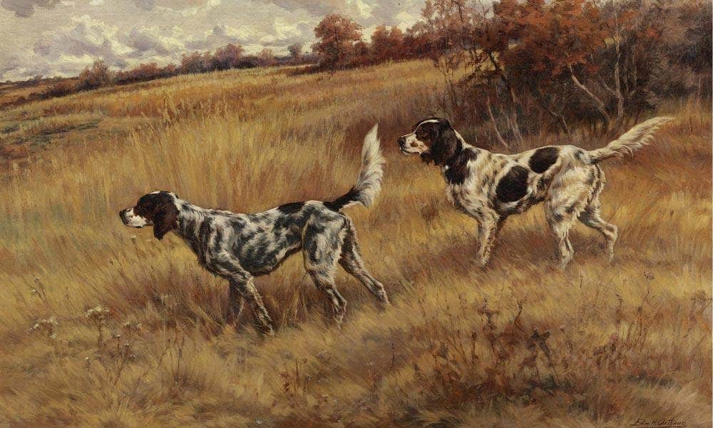 Two Setters In The Field By Edmund Henry Osthaus Fine Art Print