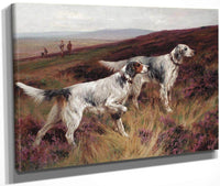 Two Setters On A Grouse Moor By Arthur Wardle Fine Art Print