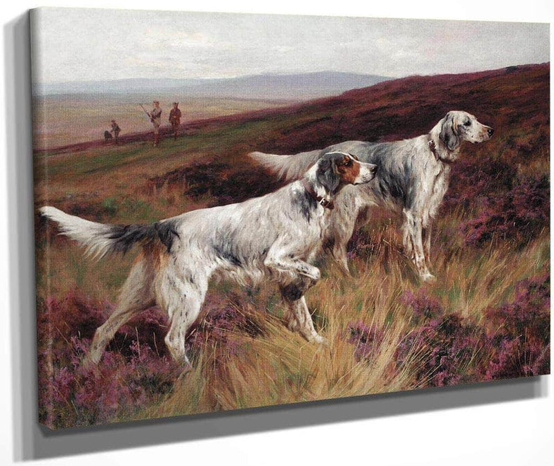 Two Setters On A Grouse Moor By Arthur Wardle Fine Art Print