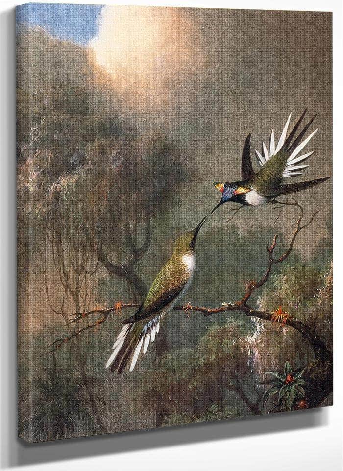 Two Sun Gems On A Branch By Martin Johnson Heade Fine Art Print