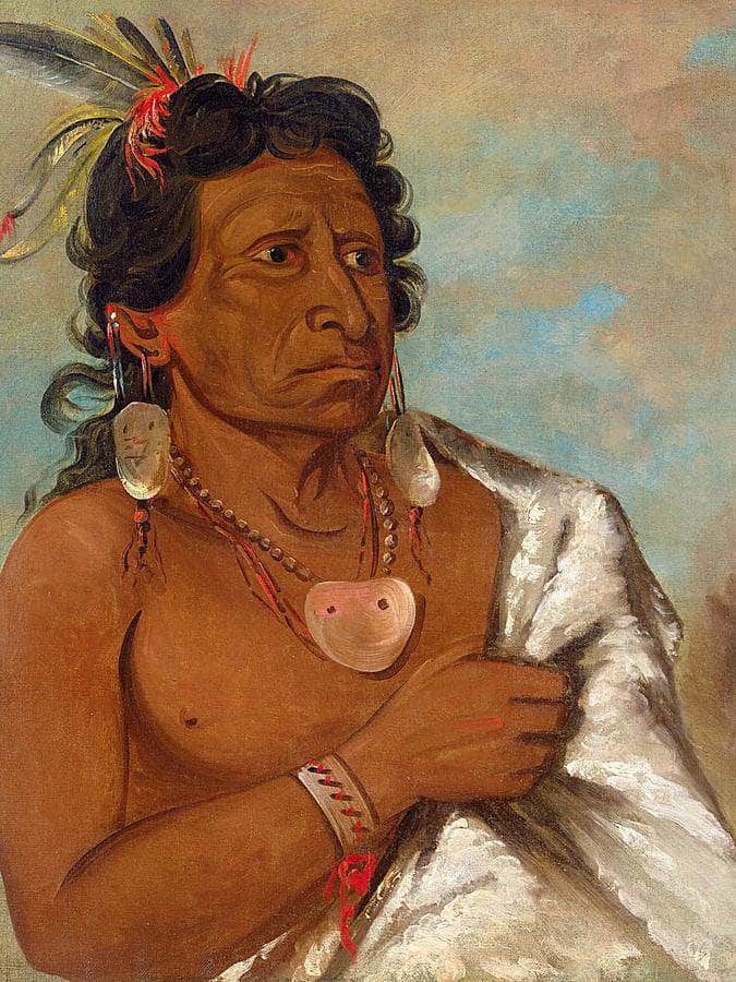 U'sh Ee Kitz, He Who Fights With A Feather, Chief Of The Tribe By George Catlin Fine Art Print