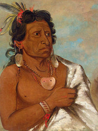 U'sh Ee Kitz, He Who Fights With A Feather, Chief Of The Tribe By George Catlin Fine Art Print
