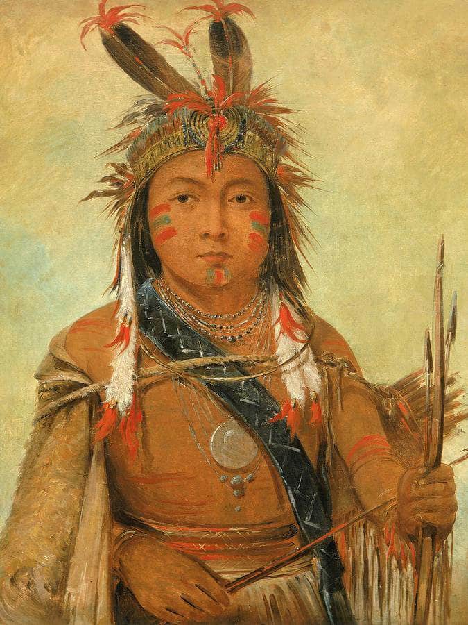 Ud Je Jock, Pelican, A Boy By George Catlin Fine Art Print