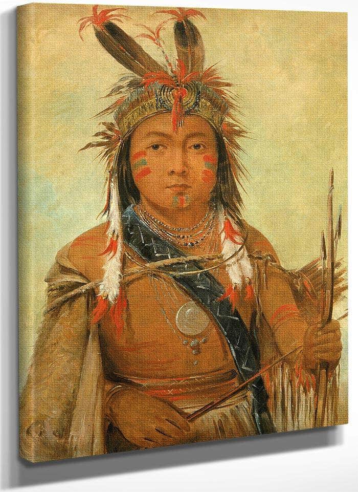 Ud Je Jock, Pelican, A Boy By George Catlin Fine Art Print