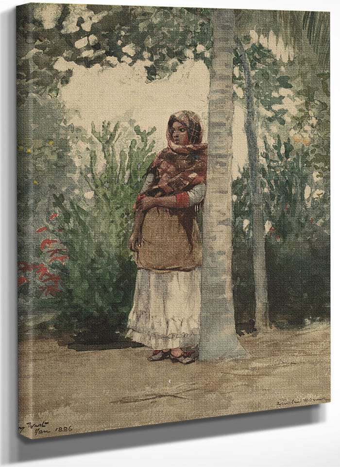 Under A Palm Tree By Winslow Homer Fine Art Print