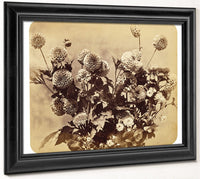 Untitled By Adolphe Braun Fine Art Print