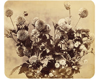 Untitled By Adolphe Braun Fine Art Print