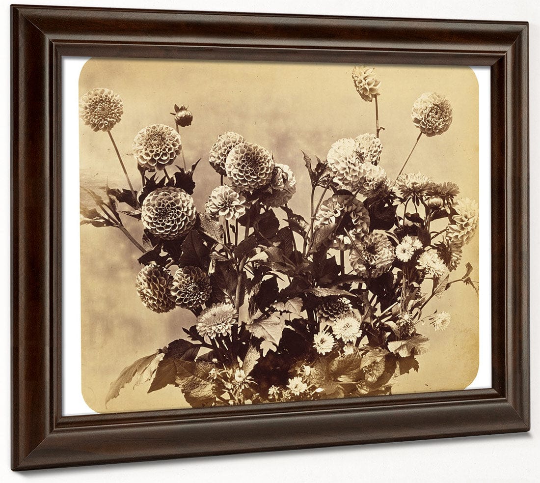 Untitled By Adolphe Braun Fine Art Print