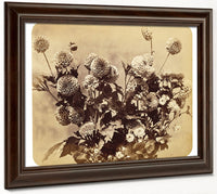 Untitled By Adolphe Braun Fine Art Print