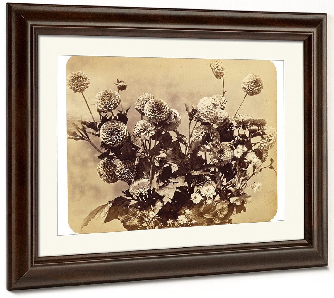 Untitled By Adolphe Braun Fine Art Print