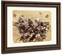 Untitled By Adolphe Braun Fine Art Print