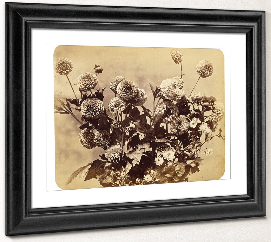 Untitled By Adolphe Braun Fine Art Print