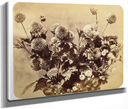 Untitled By Adolphe Braun Fine Art Print