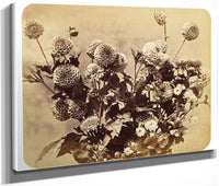 Untitled By Adolphe Braun Fine Art Print