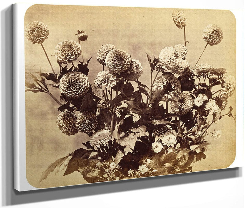 Untitled By Adolphe Braun Fine Art Print