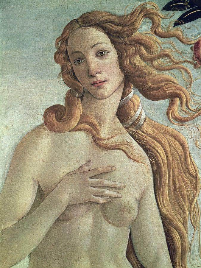 Venus Detail From The Birth Of Venus By Sandro Botticelli Fine Art Print